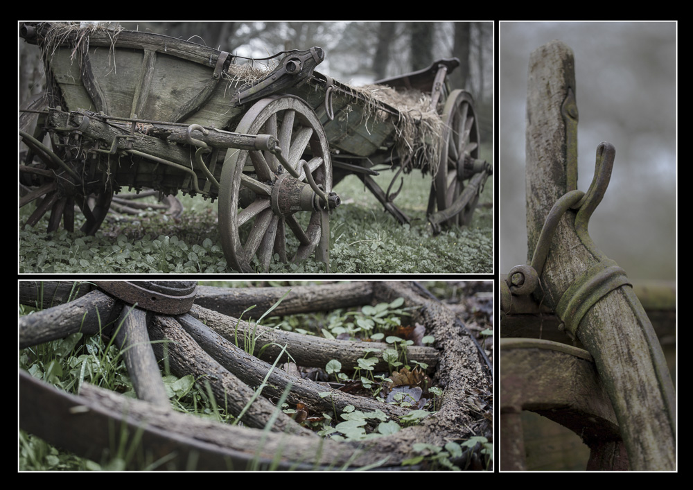 3. Platz Anton Kienle